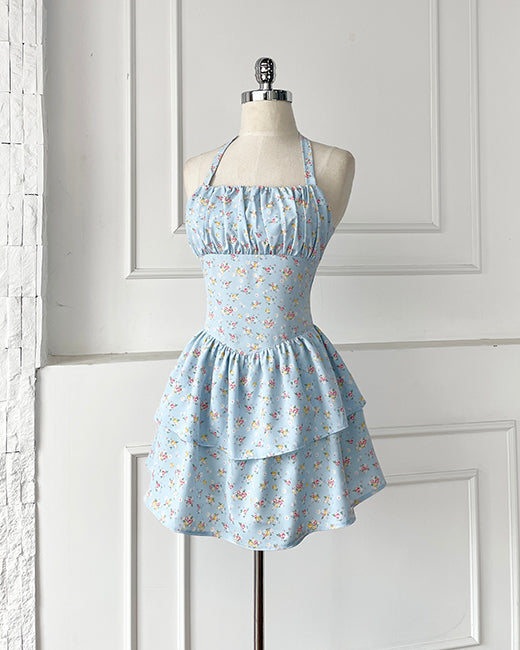 Allie Mini Dress (D20)