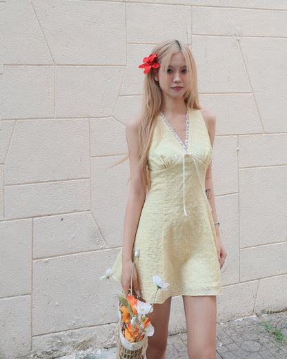 Jane Dress (D65)